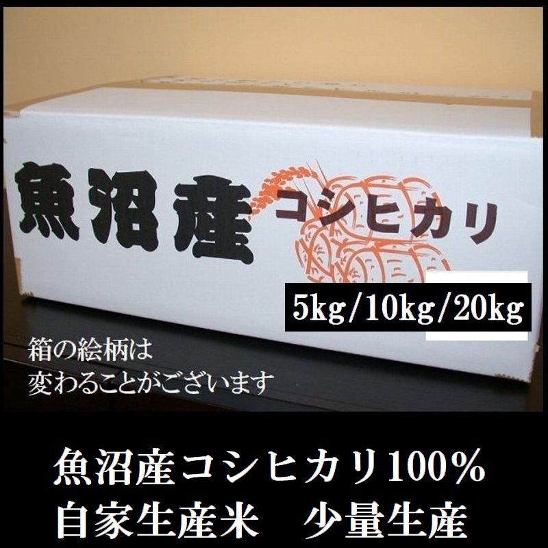 公式通販 魚沼産コシヒカリ 10キロ 令和6年産 白米 最安値に挑戦！