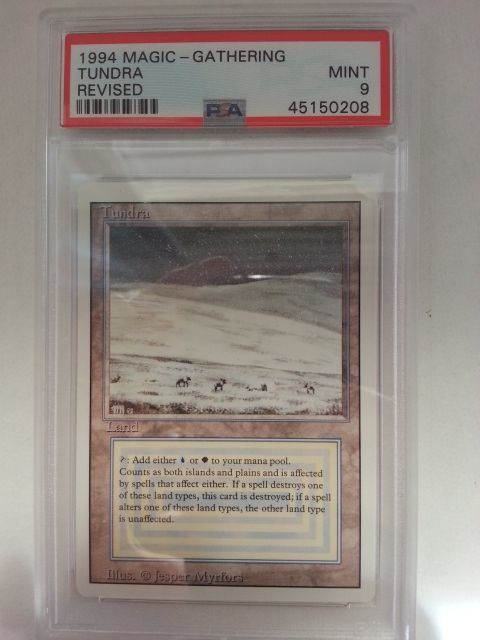 mtg TMP 不毛の大地/Wasteland 英2枚セット