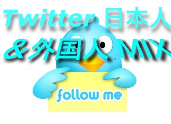 twitter400日本人外国人混合フォロワー 追加 凍結減少ゼロ Twitter