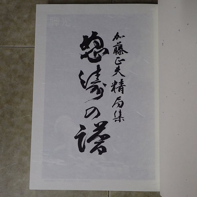 怒涛の譜 加藤正夫精局集 上下巻揃 日本棋院 初版 2005年発行 函入 帯