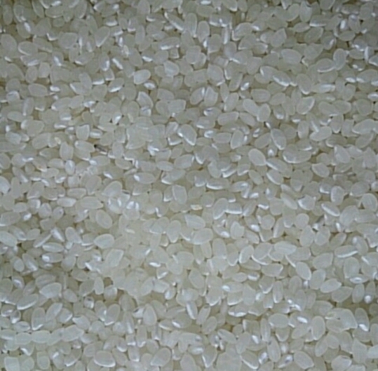 安い，人気SALE コシヒカリ 10キロ 令和１年 栃木県産 10kg 令和元年(コシヒカリ)｜売買されたオークション情報、yahooの商品情報をアーカイブ公開 - オークファン コシヒカリ