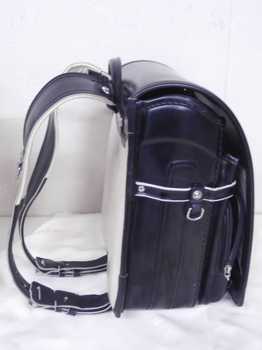 世界的に 新 妖精の翼 その他 Belgochilena Cl