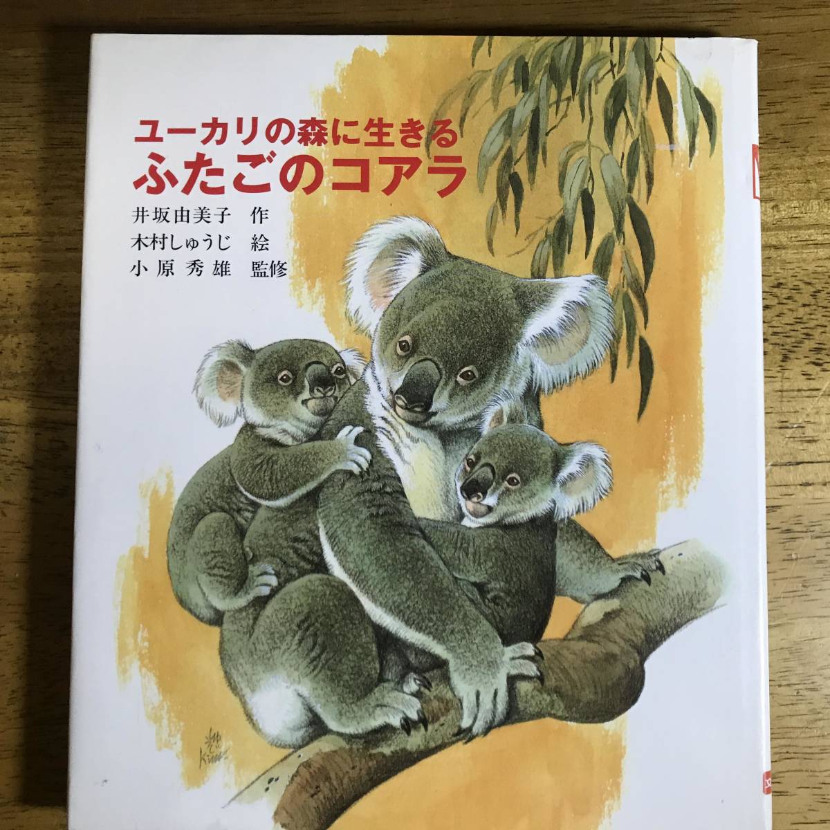 書籍 ユーカリの森に生きるふたごのコアラ 文研科学の読み物 1985 12 1 井坂 由美子 著 木村 しゅうじ イラスト 絵本一般 売買されたオークション情報 Yahooの商品情報をアーカイブ公開 オークファン Aucfan Com 書籍 ユーカリの森に生きるふたごのコアラ 文研科学の読み物 1985 12 1 井坂 由美子 著 木村 しゅうじ イラスト 絵本一般 売買されたオークション情報 Yahooの商品情報をアーカイブ公開 オークファン Aucfan Com