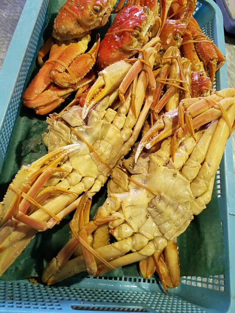 SALE，お買い得 北海北の味 サイズ不定貫カニ食べ放題用特盛活目4.6ｋｇ 北海道産堅ボイル未冷凍ズワイガニ 訳3.6ｋg身入り9割以上落札後すぐ発送可能(ズワイガニ)｜売買されたオークション情報、yahooの商 ズワイガニ