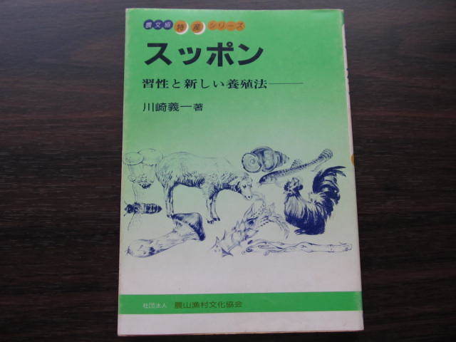 USオリジナル THE BEATLES Magical 虹ラベル 激レア!良好!MONO初版 &frasl; \u002765 良好盤 Party BOYS BEACH 虹ラベ MONO 初版 Soul