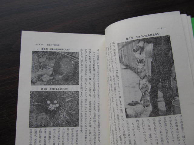 USオリジナル THE BEATLES Magical 虹ラベル 激レア!良好!MONO初版 &frasl; \u002765 良好盤 Party BOYS BEACH 虹ラベ MONO 初版 Soul