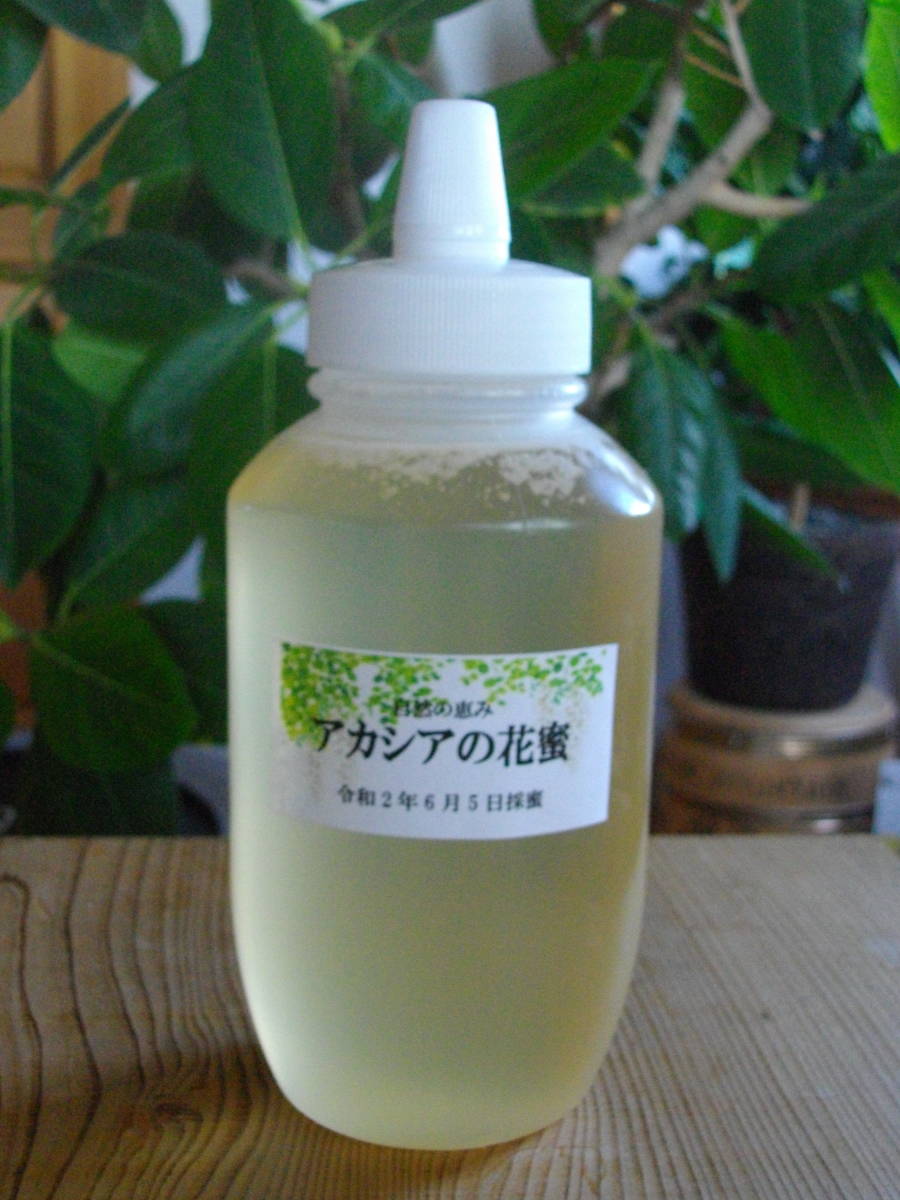 搾りたて！ 国産 蜂蜜 アカシアの花蜜 令和2年 1000g 自家採蜜 生