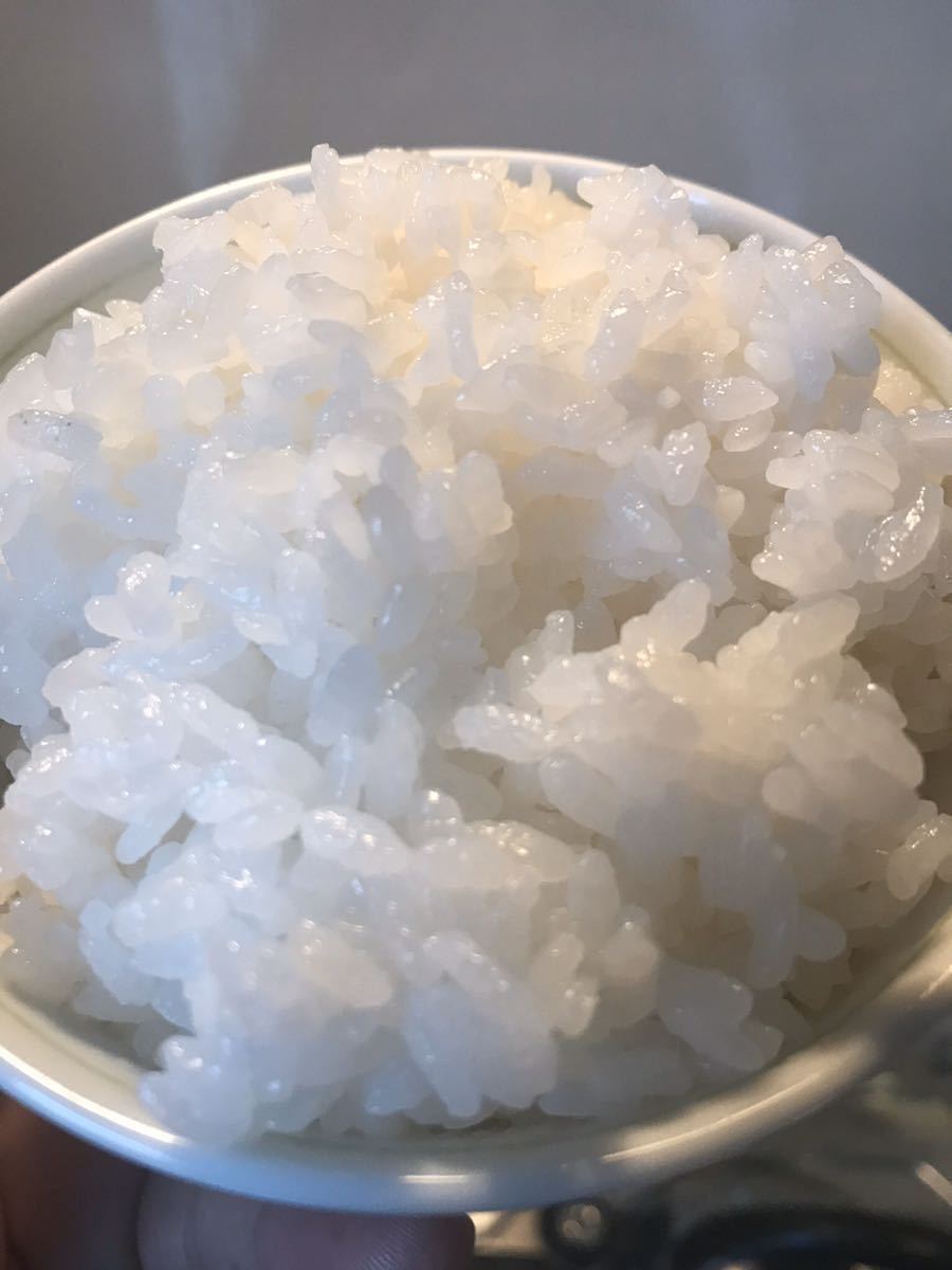 赤字価格 ☆ 令和 元年産 新米 会津 産 こしひかり 一等米 白米 約 9kg 玄米 10kg を精米後、安い 美味い 安心 安全 ☆ うまいこめ _3