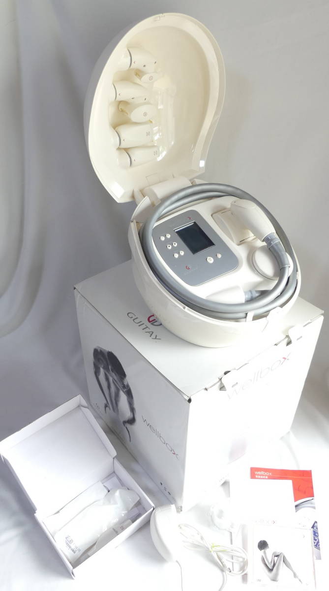 美品 ウェルボックス wellbox エンダモロジー 定価26万円 ウェル