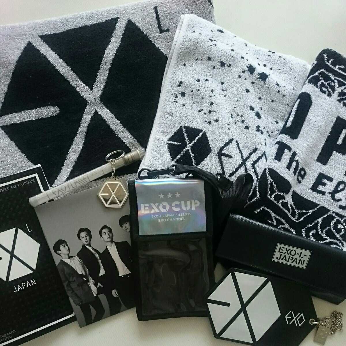 OFFICIAL WEBSITE EXO(エクソ) ケース（ファイル・バインダー｜文房具