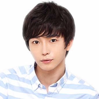 _ Dreambeauty メンズ ウィッグ ショートストレート100%人毛 _色 男性用フルウィッグ つむじ手植え 普段用短髪