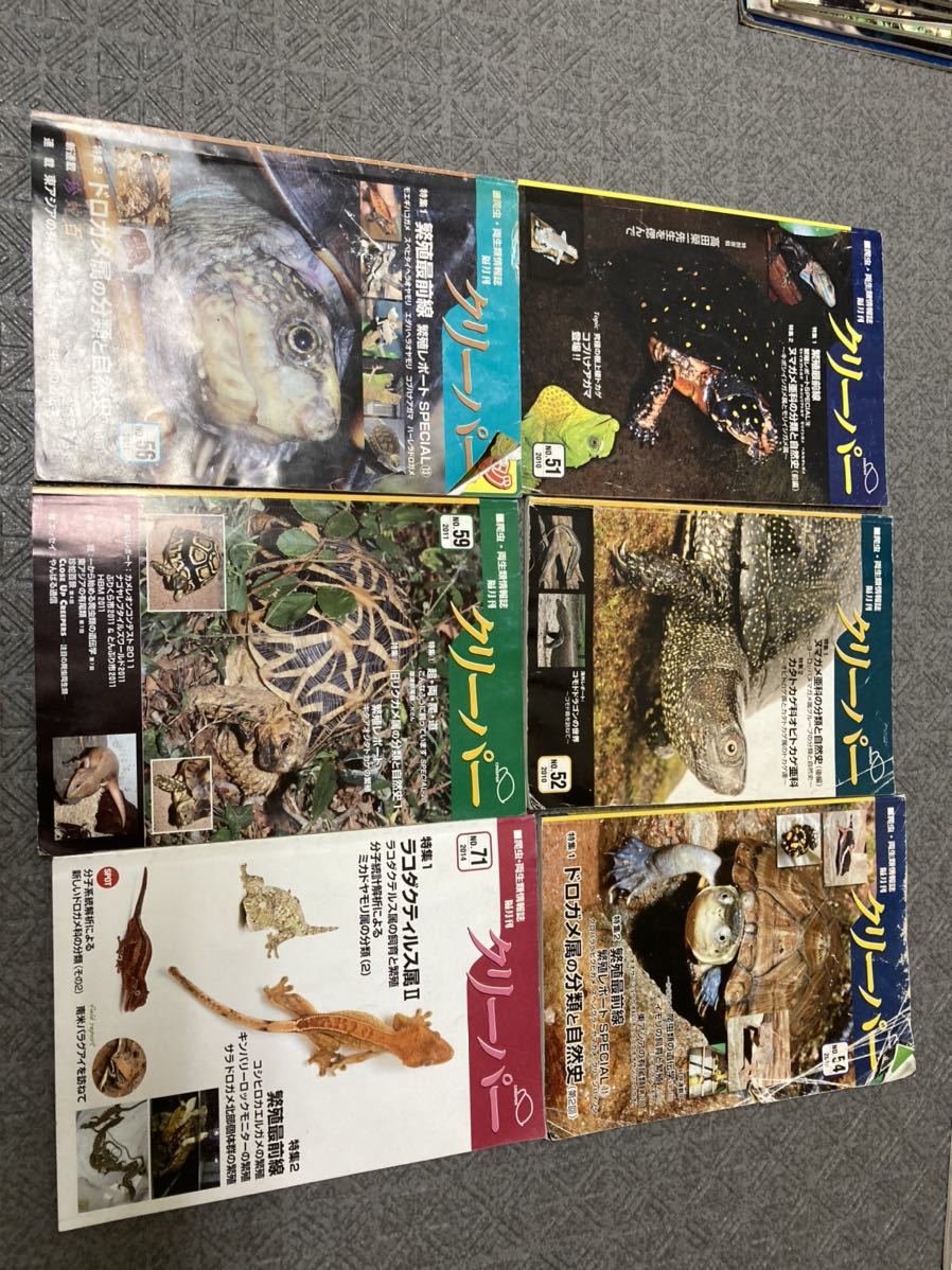 クリーパー誌 6冊 爬虫類 亀 カメ 【公式通販】