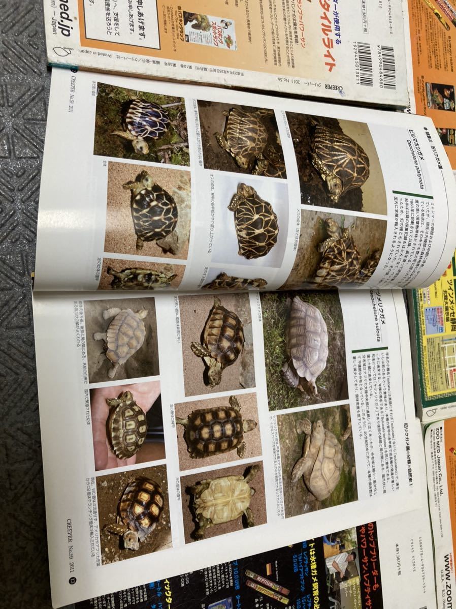 クリーパー誌 6冊 爬虫類 亀 カメ 【公式通販】