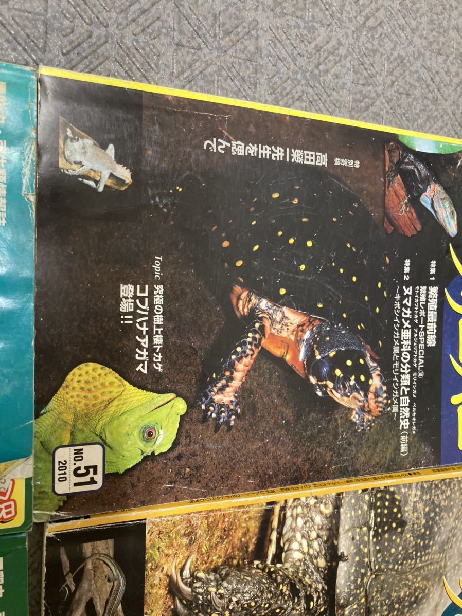 クリーパー 6冊 爬虫・両生類情報誌 創刊3号No.6・8・11・20・22 クリーパー誌 6冊 爬虫類 亀 カメ 【公式通販】