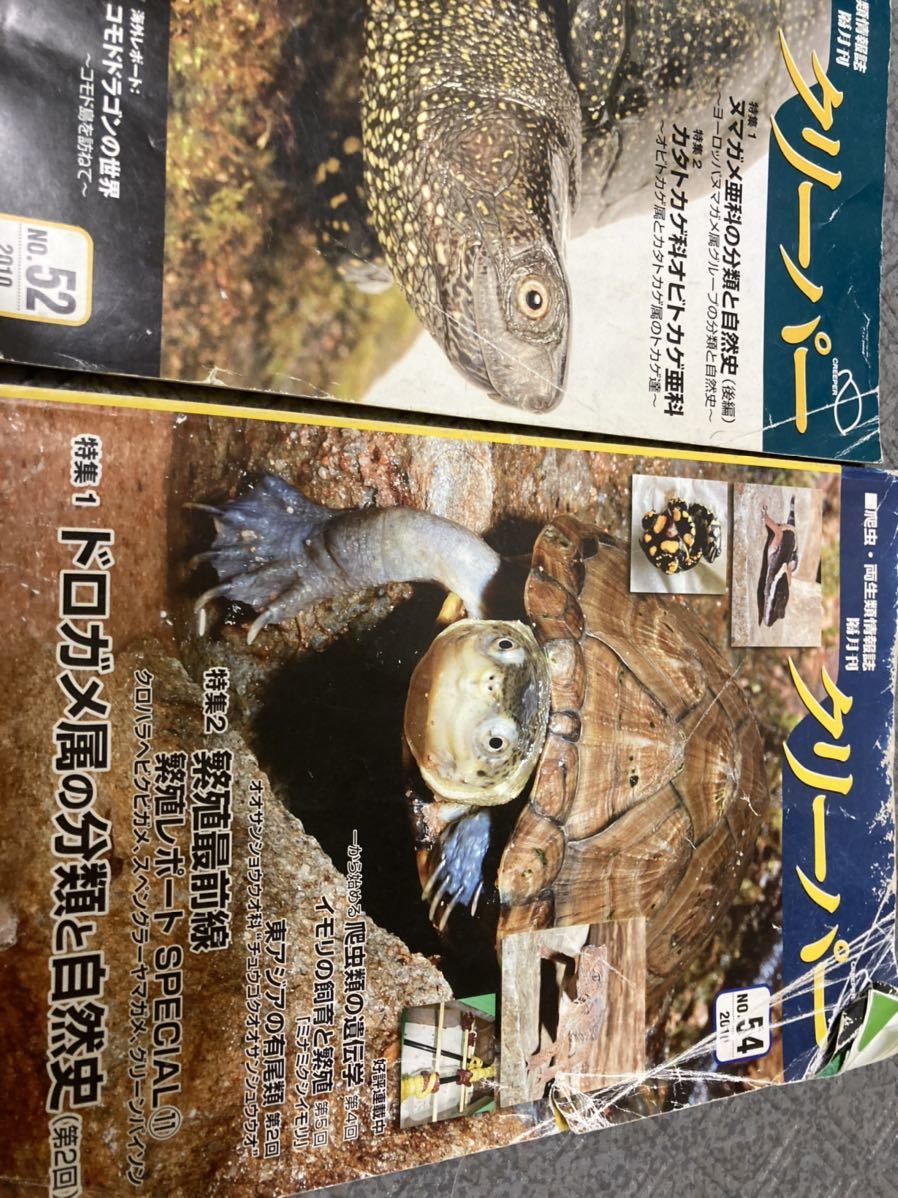クリーパー 6冊 爬虫・両生類情報誌 創刊3号No.6・8・11・20・22 クリーパー誌 6冊 爬虫類 亀 カメ 【公式通販】