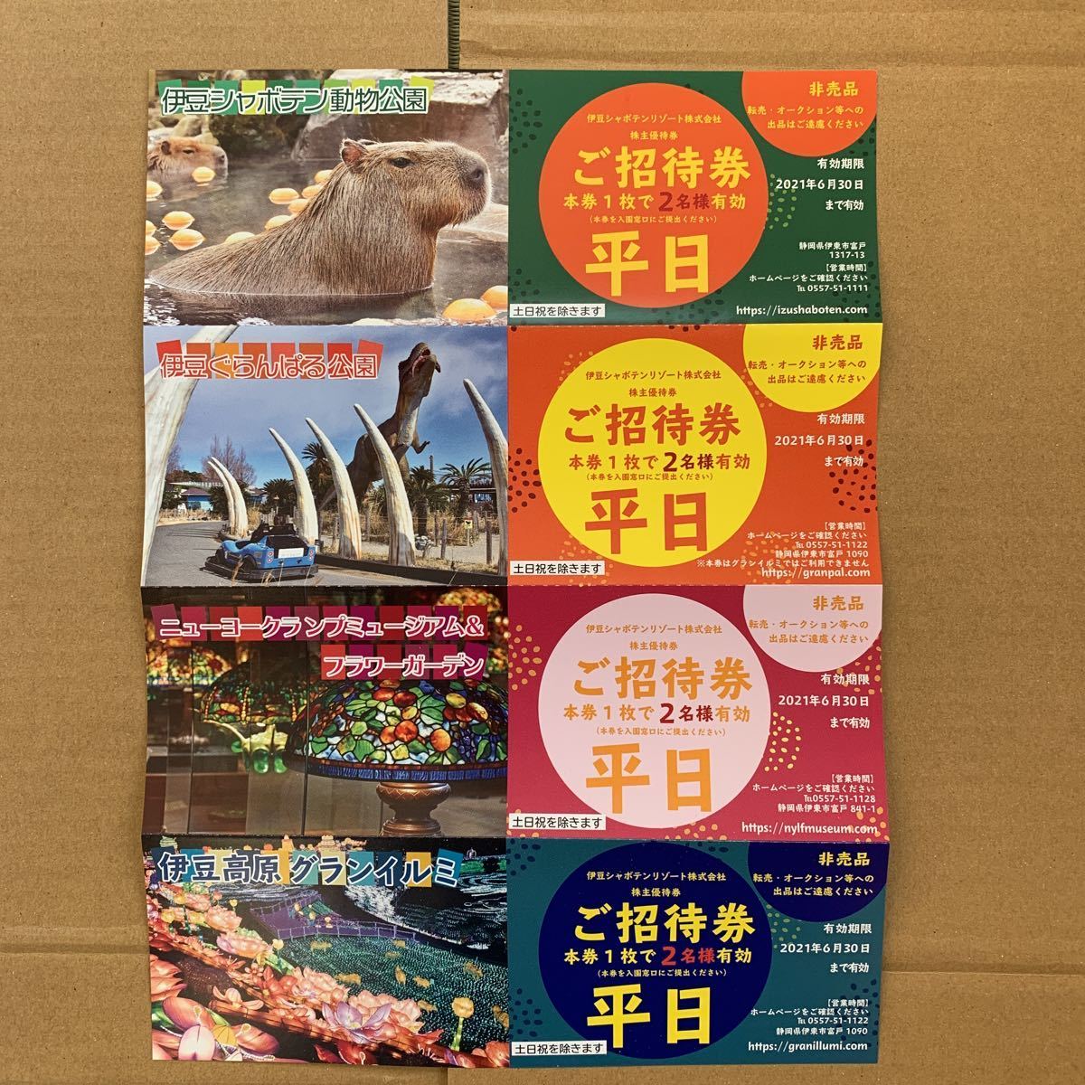 伊豆シャボテンリゾート優待券 平日券 伊豆シャボテンリゾート 4 伊豆シャボテンリゾート優待券 平日券 伊豆シャボテンリゾート 4