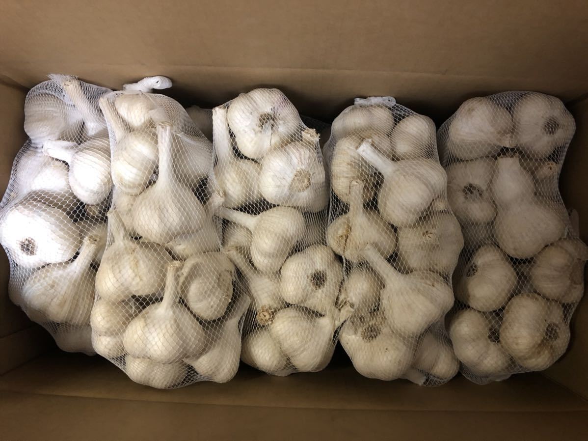 2020（令和2）年 青森県産 乾燥にんにく 玉10kg Lサイズ B品 福地ホワイト六片 農家直送 にんにく 青森 新物出荷中！あす楽 今だけの大特価セール！約２キロ！ 青森県産にんにく 最高級