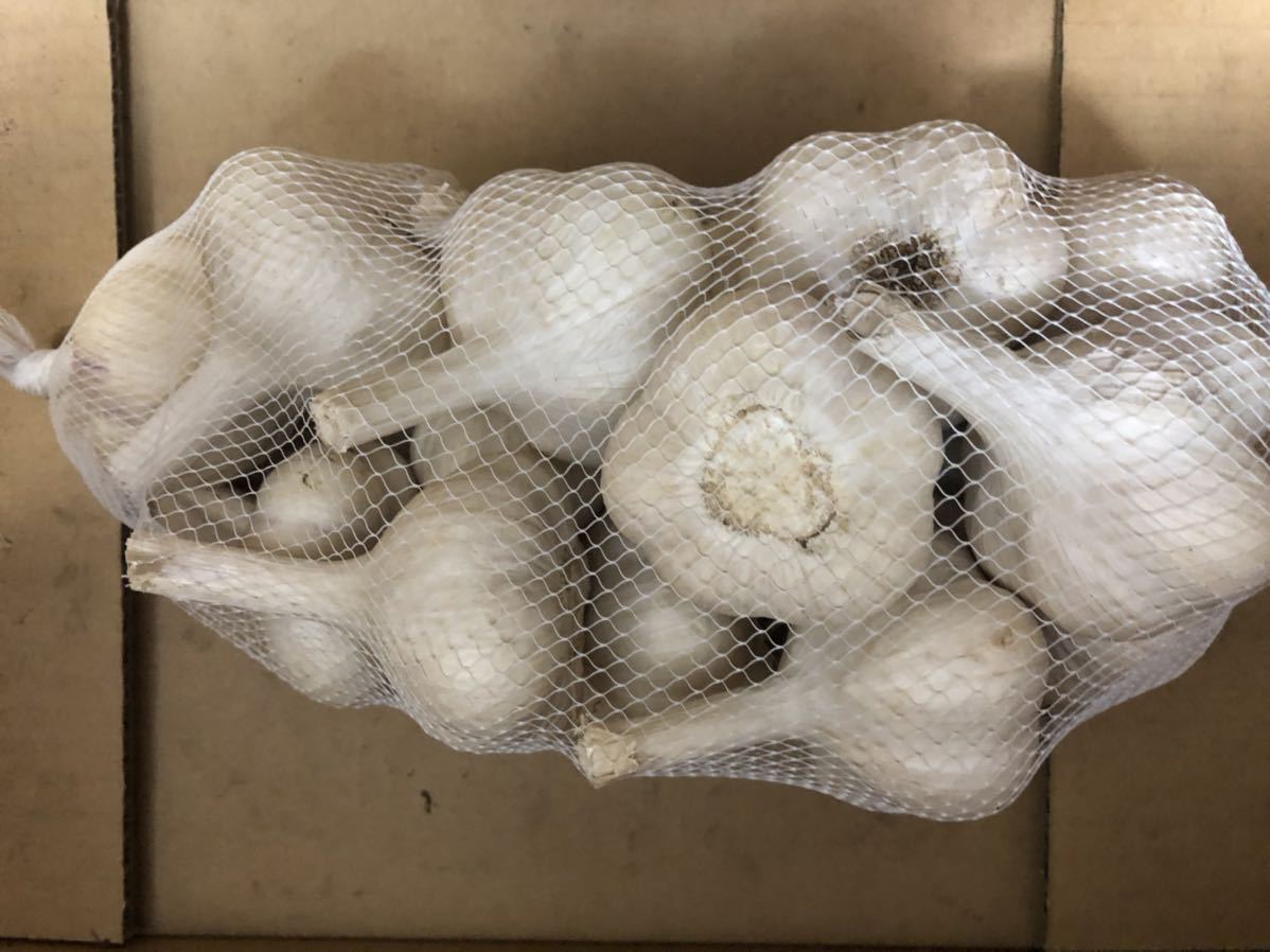 2020（令和2）年 青森県産 乾燥にんにく 玉10kg Lサイズ B品 福地ホワイト六片 農家直送 にんにく 青森 新物出荷中！あす楽 今だけの大特価セール！約２キロ！ 青森県産にんにく 最高級