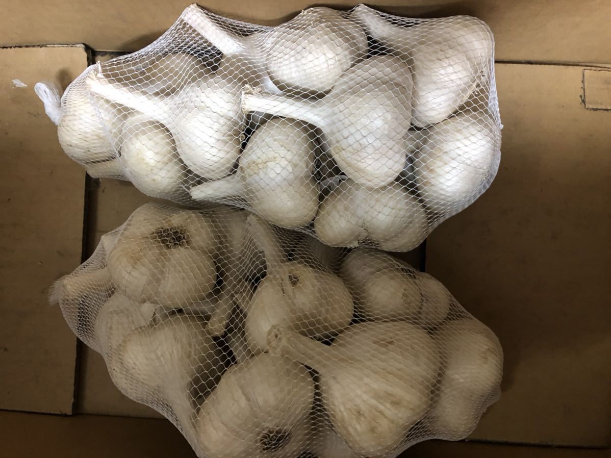2020（令和2）年 青森県産 乾燥にんにく 玉10kg Lサイズ B品 福地ホワイト六片 農家直送 にんにく 青森 新物出荷中！あす楽 今だけの大特価セール！約２キロ！ 青森県産にんにく 最高級