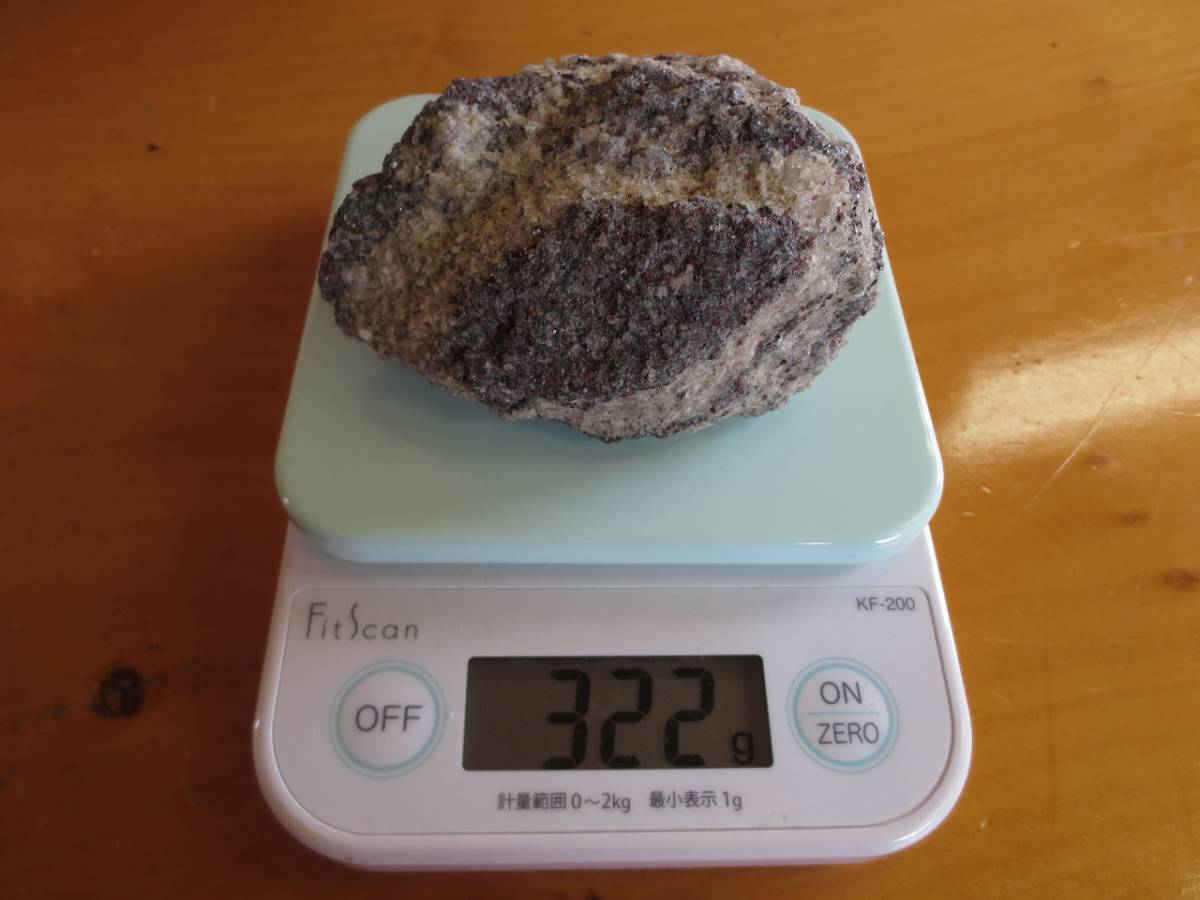 A1997 南極の石 約322g 第35次 南極地域観測隊 ザクロ石黒雲母片麻岩