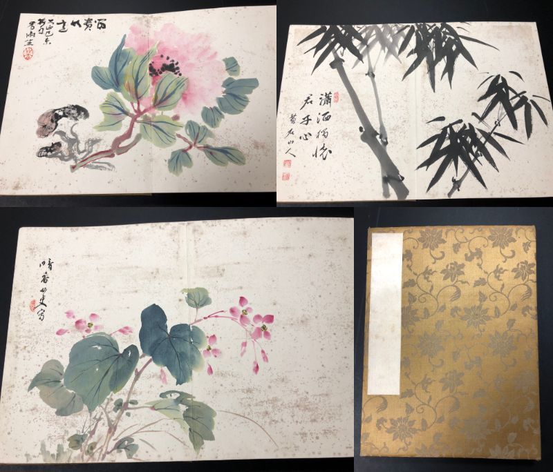 6576山水 達磨 草花 花鳥画ほか 絵入絵本 □肉筆 画帖□ 全14面 落款在