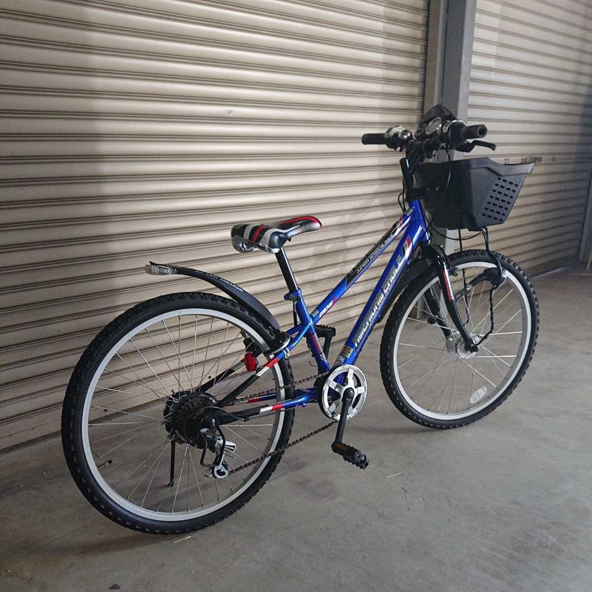 直接引き取り》AMERICAN EAGLE JUNIOR SPORTS BIKE CTB246R 子供用