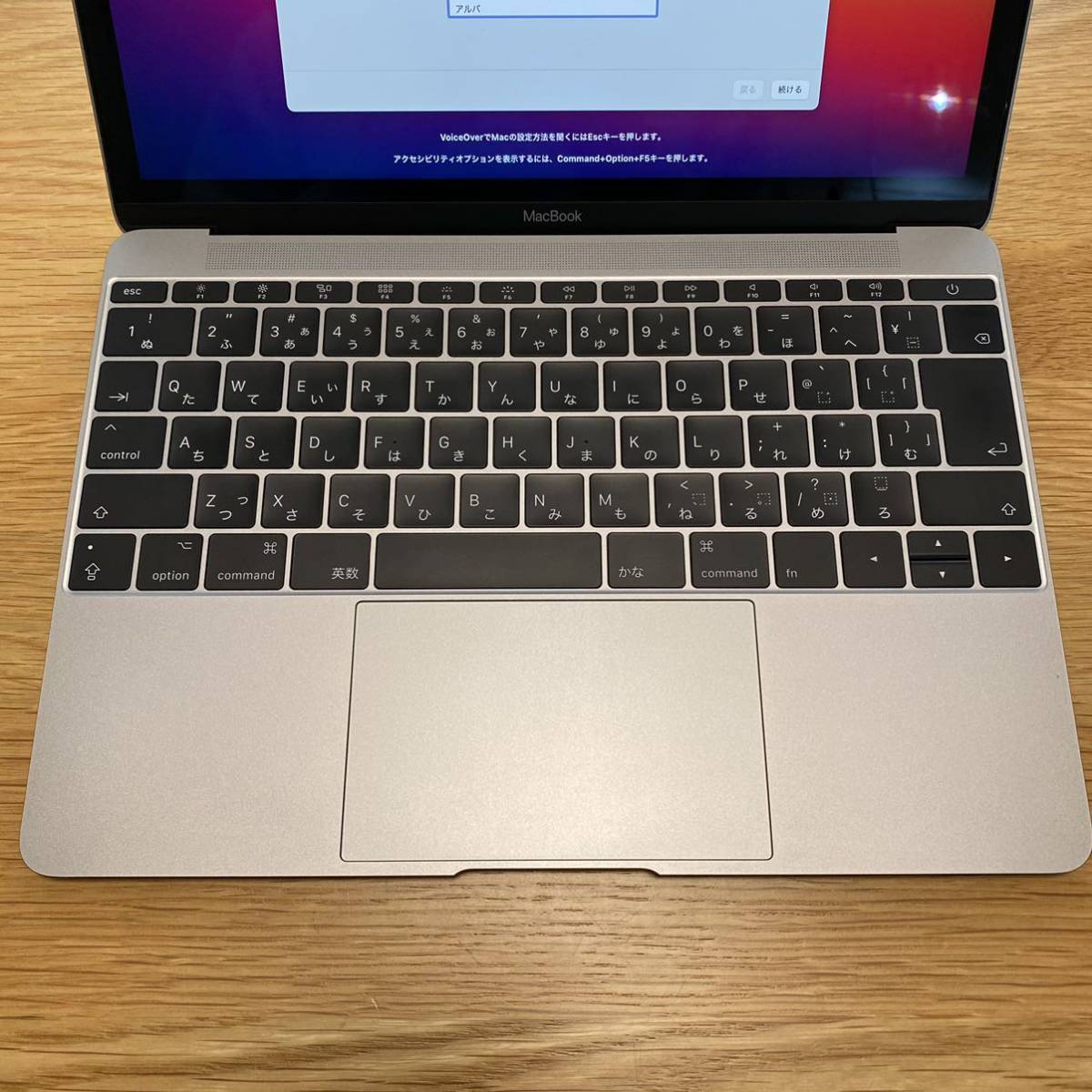 MacBook - Retina 12-inch (2017) Core m3 0 〔中古〕MacBook APPLE 