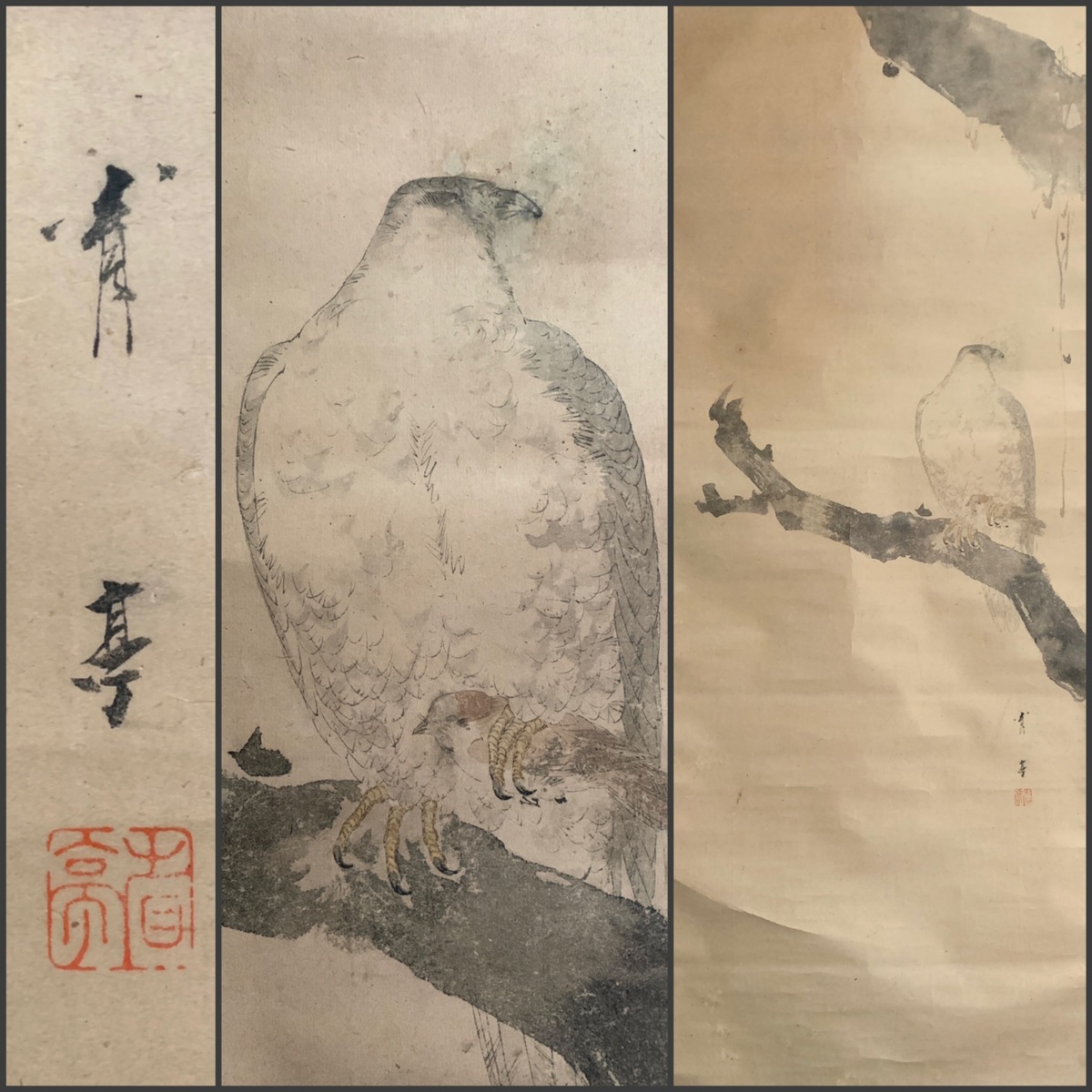 渡辺省亭 | －欧米を魅了した花鳥画－（東京藝術大学大学美術館