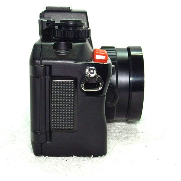 c873701862.7