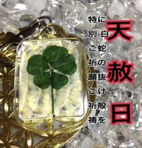 五つ葉 クローバーのヤフオク の相場 価格を見る ヤフオク の五つ葉 クローバーのオークション売買情報は8件が掲載されています