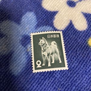 2円 切手 犬のヤフオク の相場 価格を見る ヤフオク の2円 切手 犬のオークション売買情報は56件が掲載されています
