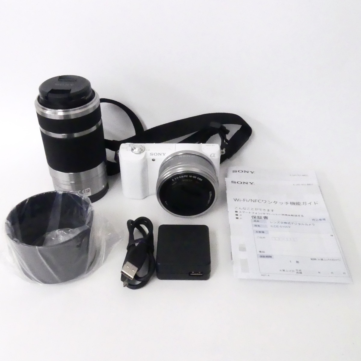 RICOH G800 リコー デジタルカメラ sdカードの通販 バッテリー ricoh 