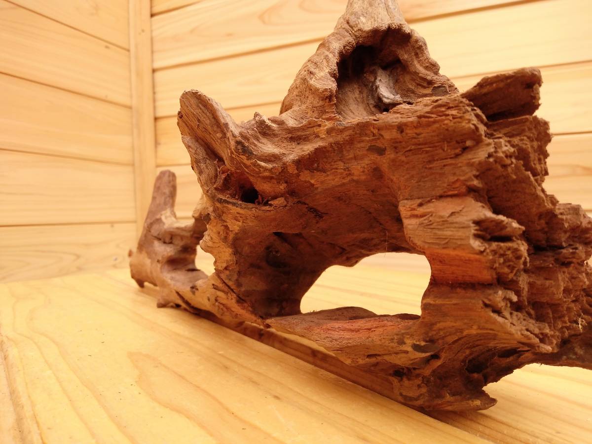 56 原産国タイのマングローブ流木 水景レイアウト用品 煮沸殺菌 重曹処理 アク抜き 真水浸水 約150時間 創作アート流木 水槽装飾品 売買されたオークション情報 Yahooの商品情報をアーカイブ公開 オークファン Aucfan Com