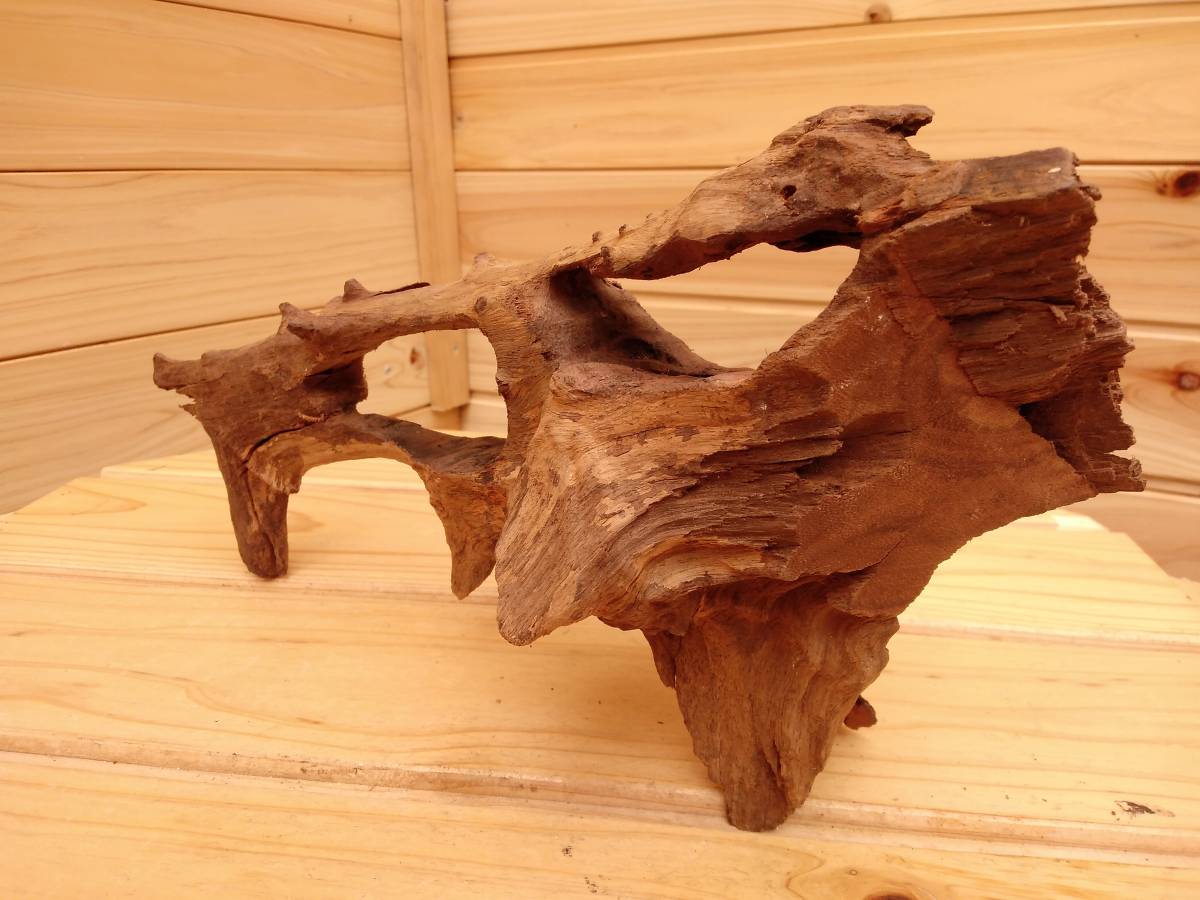 56 原産国タイのマングローブ流木 水景レイアウト用品 煮沸殺菌 重曹処理 アク抜き 真水浸水 約150時間 創作アート流木 水槽装飾品 売買されたオークション情報 Yahooの商品情報をアーカイブ公開 オークファン Aucfan Com