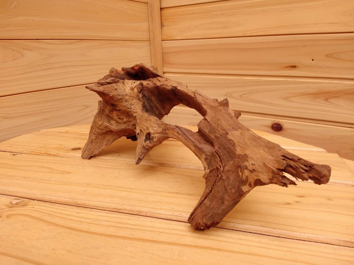 56 原産国タイのマングローブ流木 水景レイアウト用品 煮沸殺菌 重曹処理 アク抜き 真水浸水 約150時間 創作アート流木 水槽装飾品 売買されたオークション情報 Yahooの商品情報をアーカイブ公開 オークファン Aucfan Com