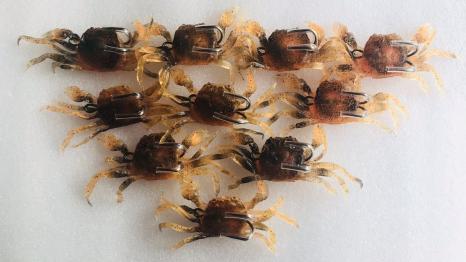 カニルアー ピンク系色 10個 ソフトルアー ソフトワーム 蟹擬似餌 チヌ カサゴ クロダイ イイダコ タコ釣り テンヤ メバル ソフトルアー 売買されたオークション情報 Yahooの商品情報をアーカイブ公開 オークファン Aucfan Com