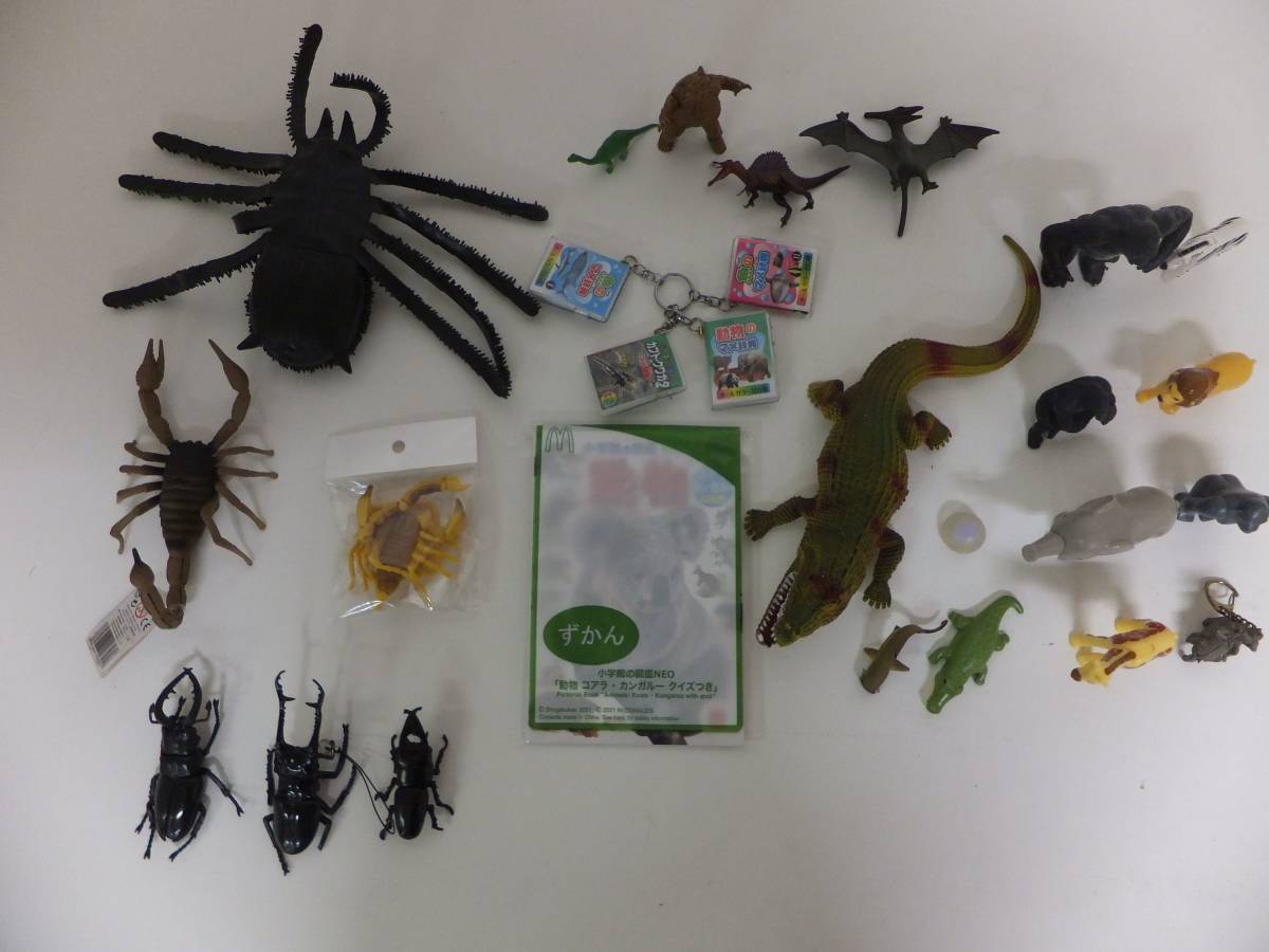 算術 エリート カバー サソリ の おもちゃ 虫を数える 扱う 弁護士