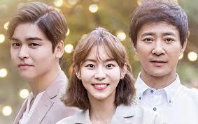 たった一人の私の味方 全40巻 DVD : 全巻 全巻セット 韓国ドラマ