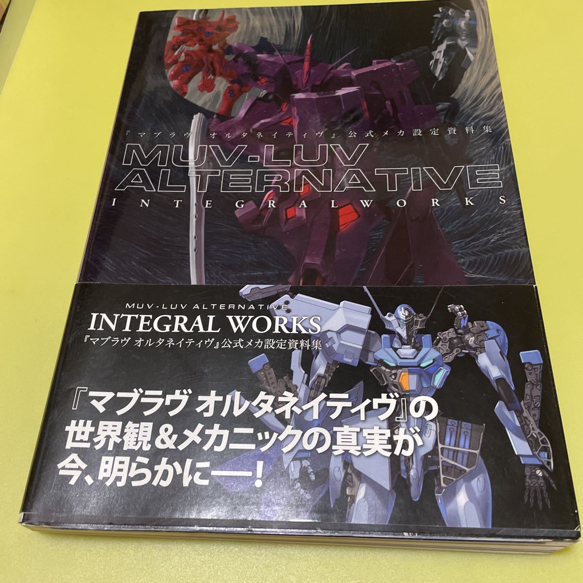 マブラヴ MUV-LUV オルタネイティヴ』公式メカ設定資料集 ALTERNATIVE