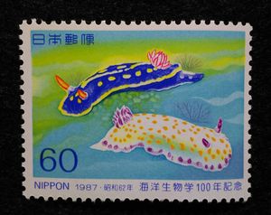 ウミウシの平均価格は8 463円 ヤフオク 等のウミウシのオークション売買情報は31件が掲載されています