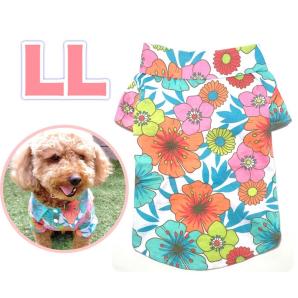 犬 服 アロハの平均価格は870円 ヤフオク 等の犬 服 アロハのオークション売買情報は8件が掲載されています