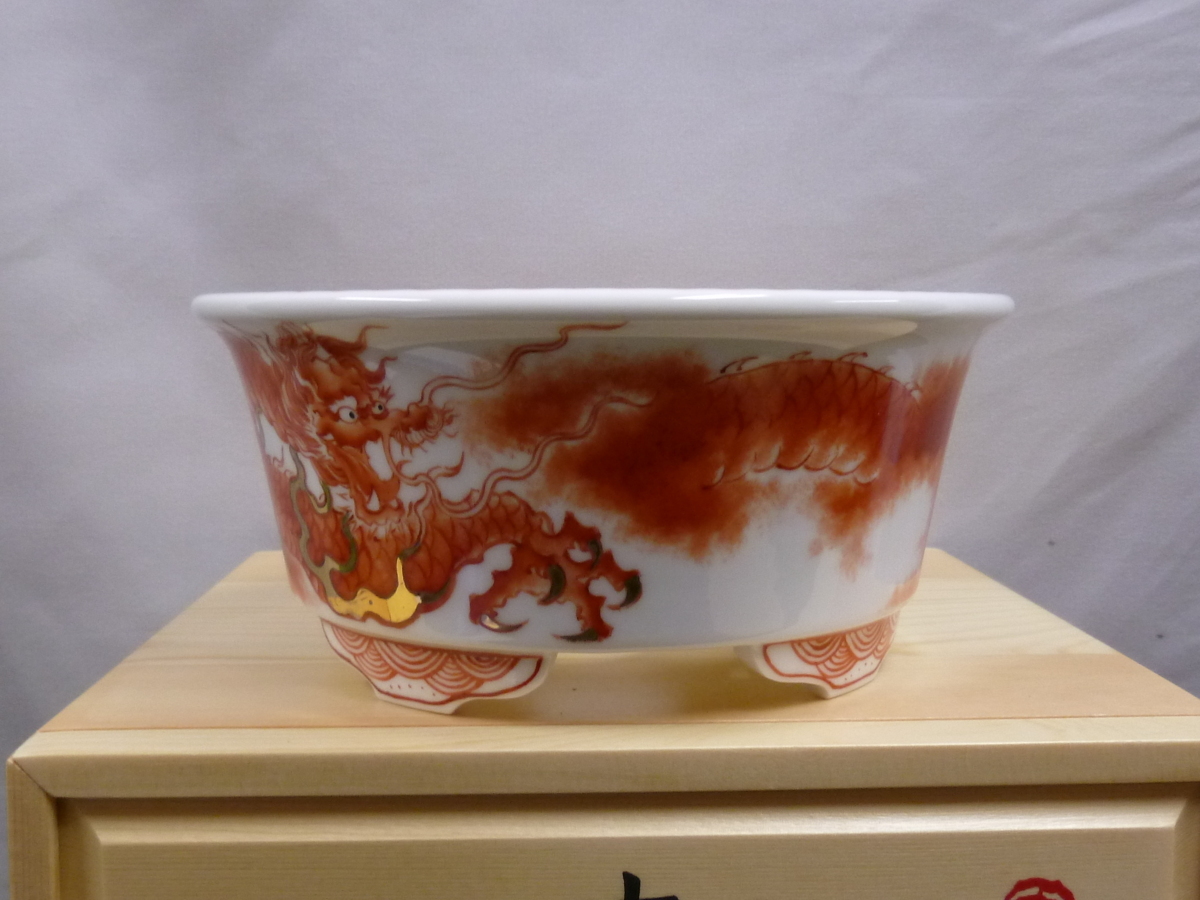 は二わ盆栽】 春峰 (箱付き) 盆栽鉢 b_h0812 | 盆栽、盆栽書籍、盆栽