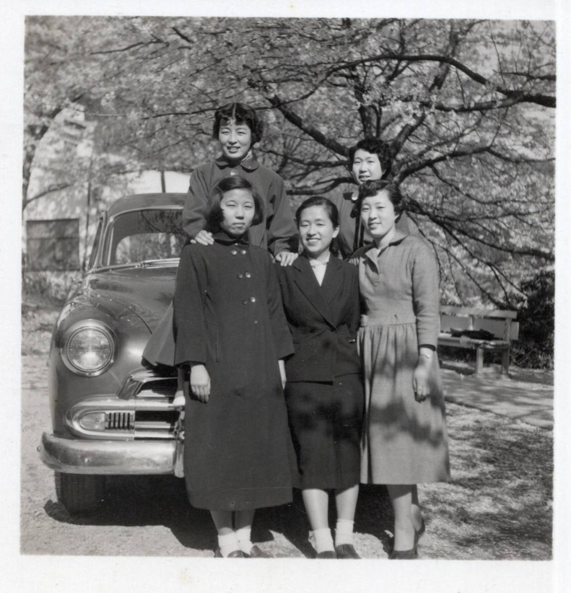 昭和年代 30年代 女学校 女学生等 若い女性 生写真合計10枚 セーラー服 制服 清楚美人 知的 天然美少女 戦後復興期 昭和レトロ 印刷物 売買されたオークション情報 Yahooの商品情報をアーカイブ公開 オークファン Aucfan Com