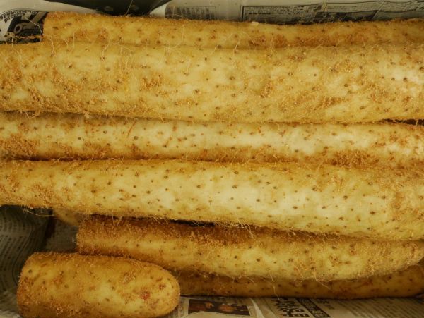 青森県産 長芋 JA十和田おいらせ 5ｋｇ 洗浄済み おがくず入り