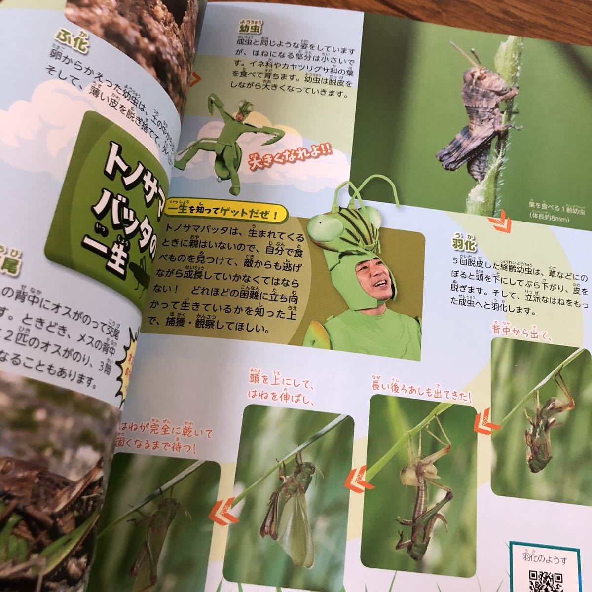 新作からSALEアイテム等お得な商品満載 NHK 香川照之の昆虫すごいぜ 図鑑 vol.3 wiki.nptracker.co.za