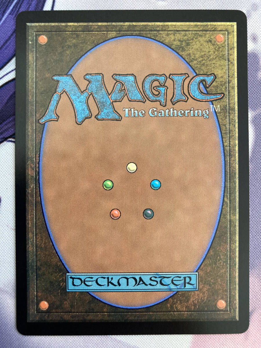 MTG 《霧深い雨林/Misty Rainforest》 MH2 日本語