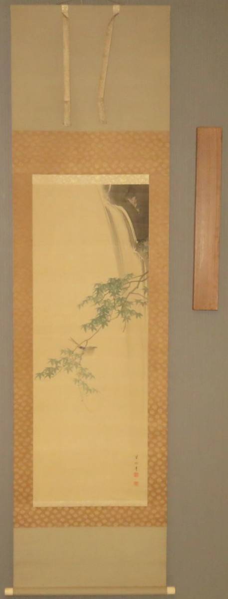 鑑定　京都画壇・【菊池芳文】　瀑布青楓小禽図　掛軸　大阪・四条派・幸野楳嶺師事　真作