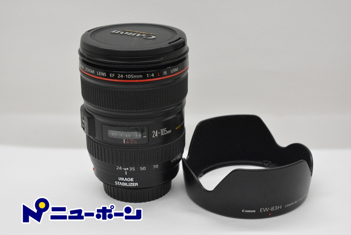 Nikon 望遠ズームレンズ AF-S VR Zoom Nikkor 70-300mm F4.5-5.6G IF
