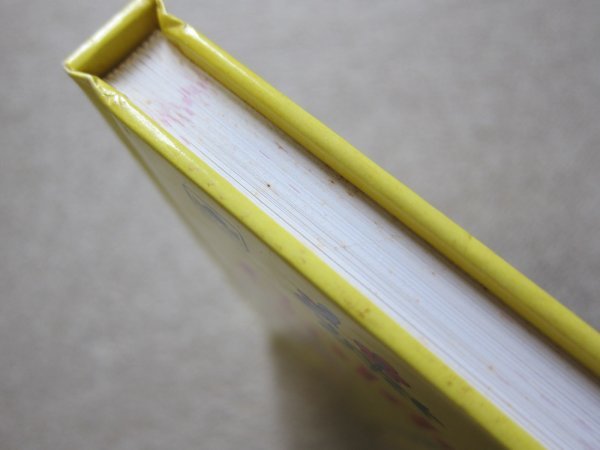 The New Golden Dictionary カセットテープ レア□ □即決 | Gold 幻の