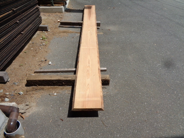 GUCCI iPhone SE/7/8 手帳型ショルダーケース 小笠原桑 絶滅危惧種1A 幻の希少銘木 幻の小笠原桑 世界自然遺産 絶滅